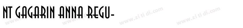 NT Gagarin Anna Regu字体转换